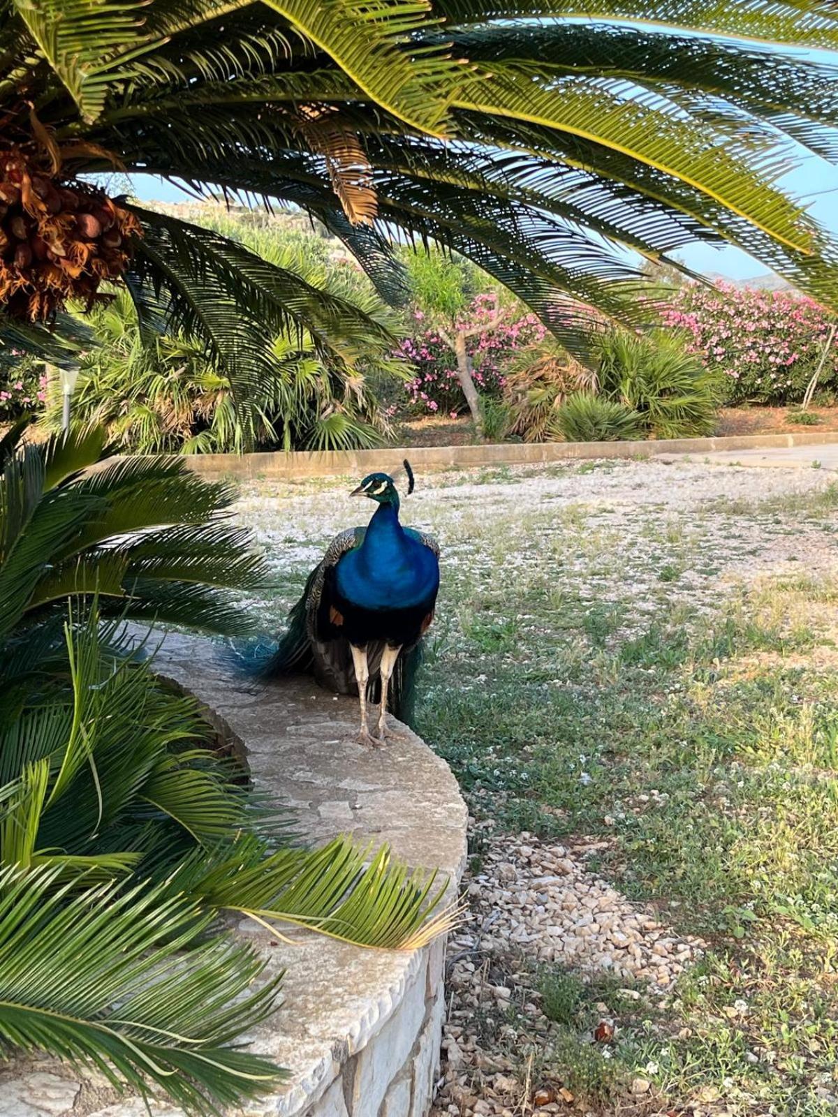 Villa Lea Custonaci Buitenkant foto