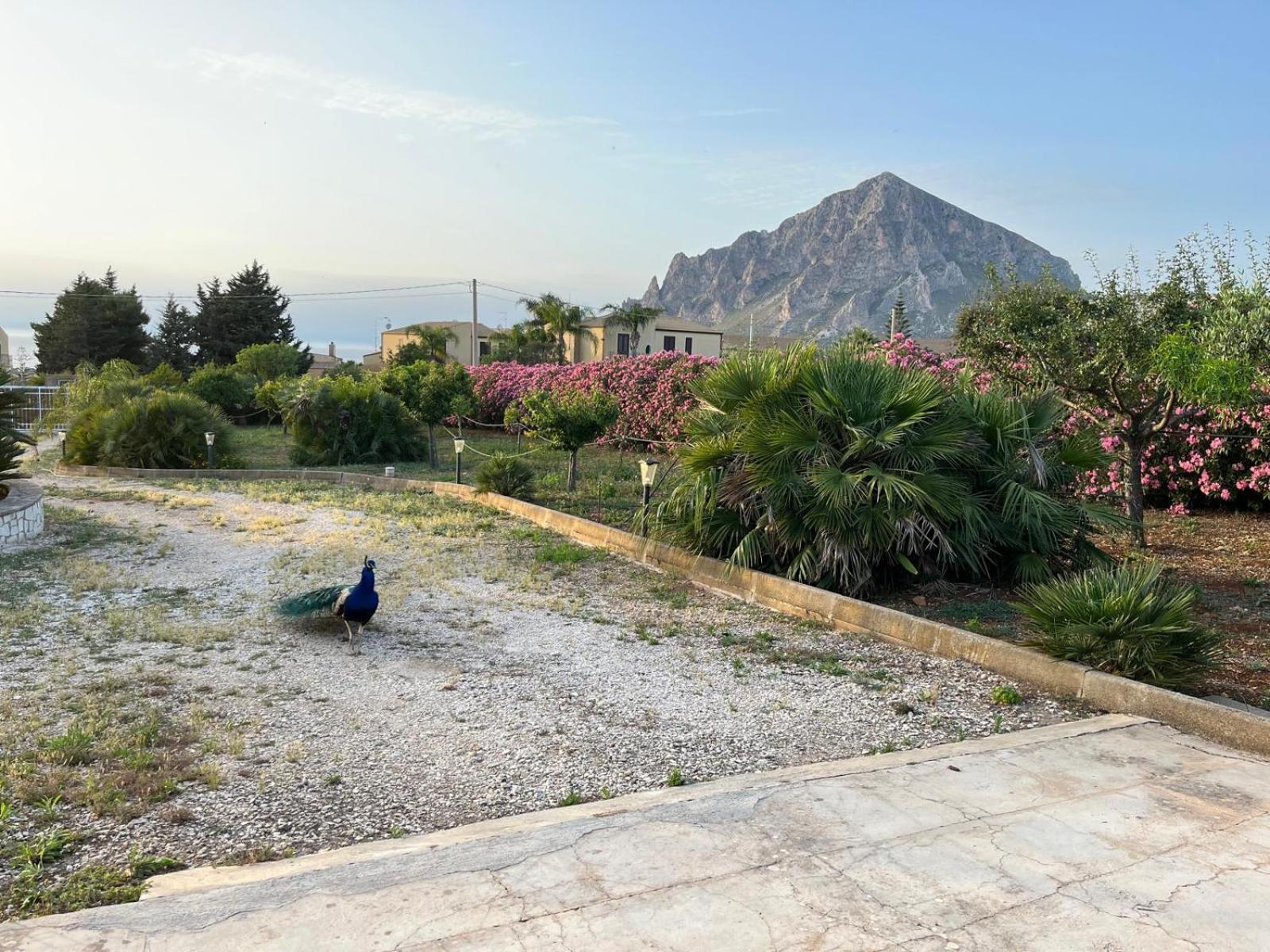 Villa Lea Custonaci Buitenkant foto